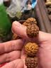 洛兰美（LUOLANMEI）手串线包芯弹力绳进口高端文玩串珠线绳子手链耐磨穿佛珠专用牛筋 1.2mm-咖啡色-30米 /送穿珠工具 实拍图