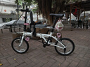 大行（DAHON）KT610折叠自行车16英寸城市通勤迷你成人男女学生便携小轮单车 白色 实拍图