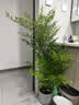 陶瓷花盆绿植盆栽亚光北欧风简约花盆大号桌面绿植盆送塑料托盘 蓝色 特大号（20*20*16） 实拍图