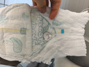 帮宝适夏季超薄超吸新清新帮纸尿裤L46透气新生儿婴儿尿不湿尿裤 实拍图