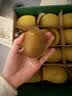 佳沛（zespri）新西兰 阳光金奇异果12粒特大果单果124-146g 猕猴桃水果礼盒 实拍图
