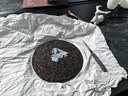 大益TAETEA茶叶普洱茶熟茶50周年纪念金针白莲357g2301批次 高品熟茶 实拍图