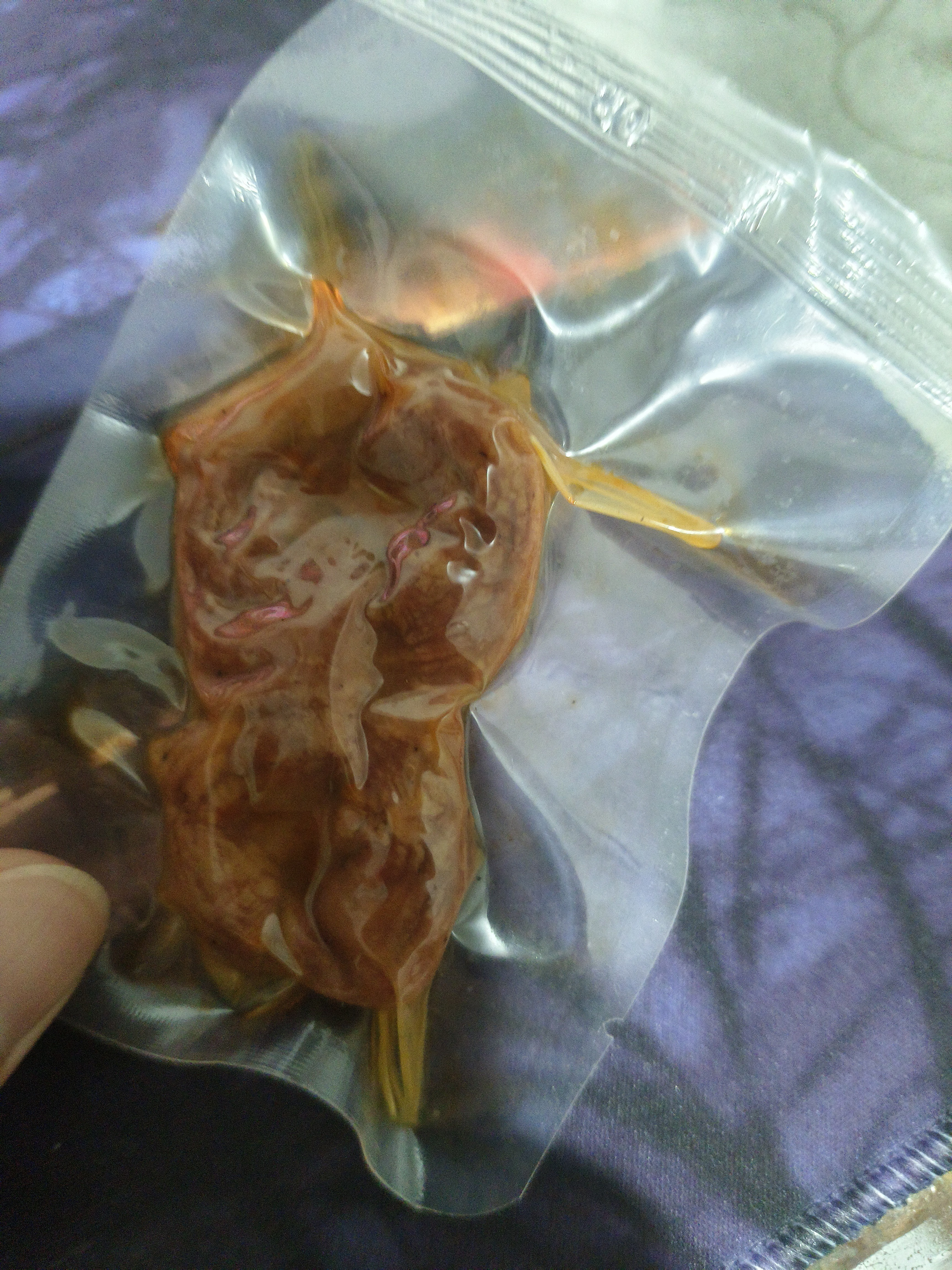 邵傅斋鸡胗开袋即食卤味肉类熟食麻辣鸡肫无敌下酒菜解馋小零食500g 实拍图