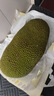 清扬去屑洗发水 樱花沁爽500g 烟酰胺净屑止痒留香洗头膏男士女士通用 实拍图