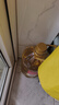 1号会员店压榨一级低芥酸菜籽油5L 充氮锁鲜 食用油【保真菜籽油】 实拍图