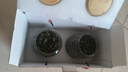 中谷御品安溪铁观音茶叶2026新茶特级兰花香耐泡乌龙茶送礼茶叶礼盒500g 实拍图