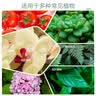史丹利花肥料家用养花通用型氮磷钾复合肥多肉盆栽有机花卉缓释肥450g 实拍图