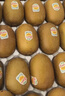 佳沛（zespri）新西兰 阳光金奇异果12粒特大果单果124-146g 猕猴桃水果礼盒 实拍图