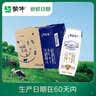 蒙牛【新鲜日期】特仑苏纯牛奶250ml*16盒 家庭早餐 送礼礼盒 实拍图