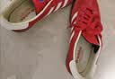 阿迪达斯（adidas）（adidas）三叶草男女鞋GAZELLE INDOOR低帮休闲鞋IF1808红白38.5 实拍图