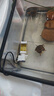 松宝（sobo）鱼缸过滤器三合一循环过滤器增氧泵水泵抽水吸便净水AQ-6000F款4W 实拍图