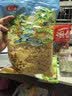 燕之坊 碎花银耳130g 古田银耳片南北干货糯耳雪耳免手撕 煲汤食材 实拍图