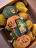 佳沛（zespri）新西兰金奇异果10粒巨大果146-175g猕猴桃中秋节礼品送水果礼盒 实拍图