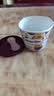哈根达斯（Haagen-Dazs）经典夏威夷果仁口味冰淇淋 100ml/杯 雪糕 实拍图