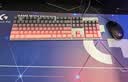 罗技（Logitech）K845机械键盘 有线键盘 办公电脑打字键盘  电竞游戏发光全尺寸个性化定制键帽 K845红轴+黑莓透光键帽 实拍图