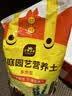 史丹利多肉土专用营养土颗粒土养多肉的种植土花土植物泥炭土壤5斤 实拍图