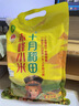 十月稻田 赤峰小米 1kg 内蒙古敖汉旗 黄小米杂粮 小米黄小米 新米 早 实拍图