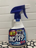 花王（KAO）浴室墙面墙体除霉剂400ml*2玻璃瓷砖霉斑清洁剂除霉泡沫防霉喷雾 实拍图