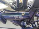 大行（DAHON）P8折叠自行车20英寸8级变速单车KBC083 渐变蓝经典版--京仓 实拍图