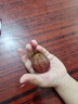 贝亲（Pigeon）奶瓶清洗剂 婴儿专用 奶嘴玩具果蔬清洁 600ml MA28 实拍图