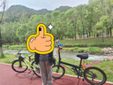 大行（DAHON）折叠自行车20英寸8级变速经典P8单车KBC083 黑色经典版-京仓 实拍图