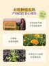 加州宝宝（California Baby）金盏花儿童面霜14g 婴幼儿春夏锁水保湿 舒缓干痒红【双有机】 实拍图
