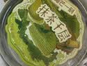 榴芒一刻抹茶千层生日蛋糕420g动物奶油甜品下午茶点心糕点源头直发 实拍图