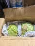 京鲜生山东新鲜绿甘蓝净重3斤 卷心菜 包菜 甘蓝新鲜蔬菜 源头直发 实拍图