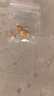 普堤诺新款爆闪方糖耳钉黄金色拉丝花型耳环999金色时尚感耳饰送女友 拉丝小方糖耳钉 实拍图
