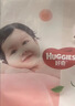 好奇（Huggies）铂金装小桃裤拉拉裤L76片(9-14kg)大号尿不湿【夏季散热王】 实拍图