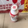 银鹭【任嘉伦推荐】花生牛奶复合蛋白饮料450ml*15瓶 整箱 实拍图