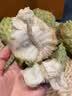 三萌果蔬凤梨牛奶释迦果【顺丰-多地次日达】释迦摩尼果番荔枝新鲜水果 【较甜·精选果】单果150-250g 3斤装【实惠尝鲜·较划算】净2.5斤 实拍图