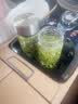 新旭堂绿茶茶叶白茶安吉礼盒装2026新茶春茶特级节日礼物送长辈礼品200g 实拍图