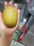 佳沛（zespri）新西兰阳光金奇异果10粒巨大果单果146-175g 猕猴桃水果礼盒 实拍图