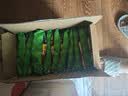 云山半 荞麦方便面60g*10包 0脂肪拌面冷面条 健身代餐速食免煮挂面泡面 实拍图