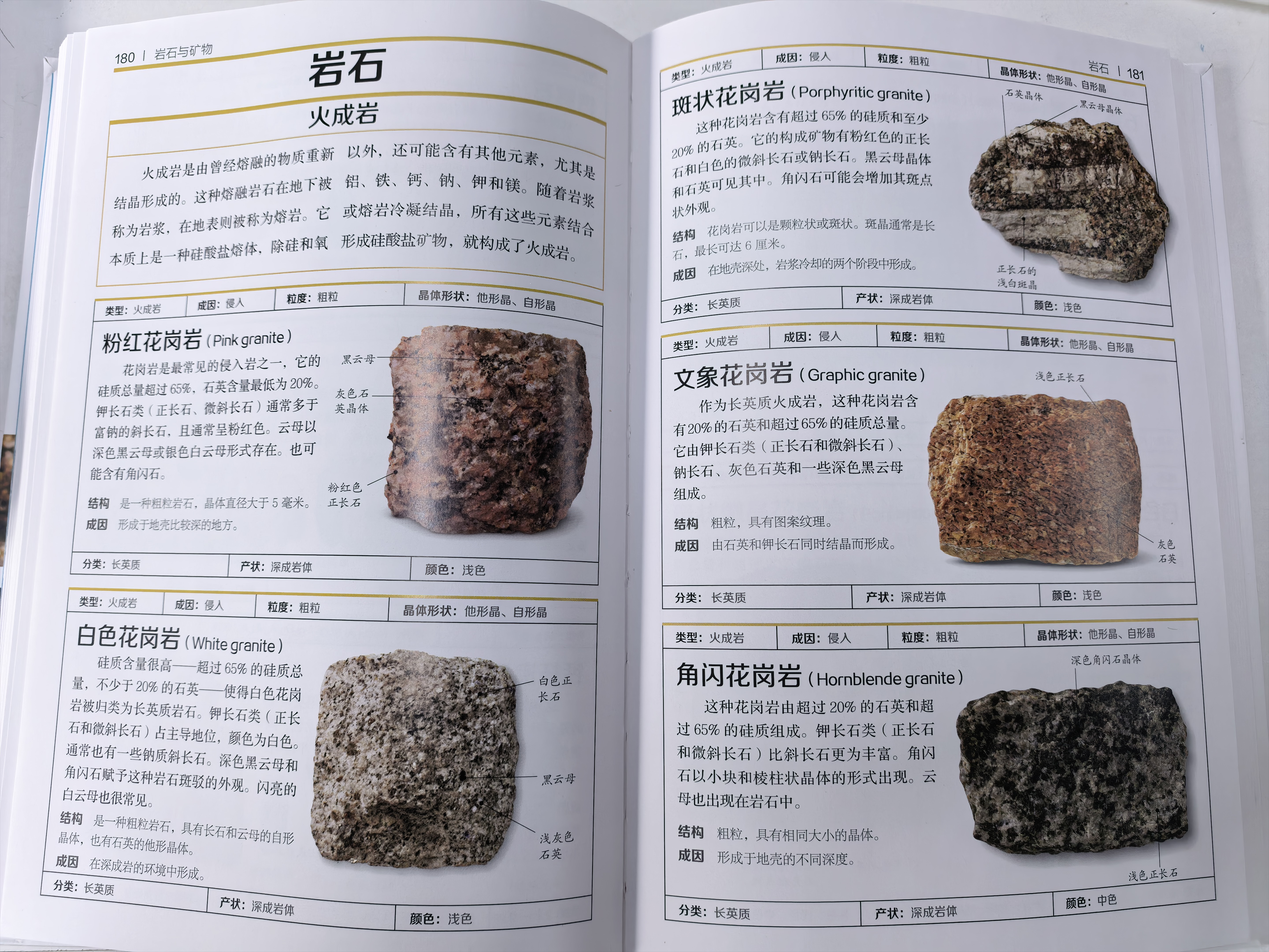DK岩石与矿物 DK博物系列 详细了解岩石与矿物的第一本专业科普书 高清实拍图鉴 儿童自然博物百科 小学生地质启蒙课外书 开学季 实拍图