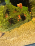 萌嘟星宠 草房子鱼缸造景装饰仿真树脂躲避洞树屋房子带草水族箱摆件 实拍图