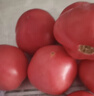 山东新鲜沙瓤大番茄西红柿减肥早餐即食新鲜蔬菜生鲜单果＞100g 畅销装 2斤 带箱 实拍图
