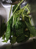 大菠菜300g 实拍图