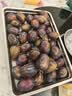 庾丰 当季现摘西梅 新鲜水果整箱 陕西孕妇蓝蜜法兰西梅 团购送礼 5斤装（净果4.5斤）单果19g+ 源头直采 颗颗甄选 实拍图