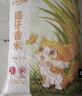 鄱阳湖农家香米25kg 南方籼米江西丝苗米50斤炒饭锅巴食堂量贩猫牙大米 实拍图