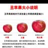 京觅四川大凉山华硕丑苹果 净4.5斤 单果70mm+新鲜水果苹果源头直发 实拍图