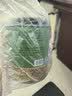 天福茗茶龙井  春意龙井浙江绿茶100G罐装茶叶2026新茶春茶绿茶 实拍图