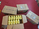 得力（deli）投影幕布100英寸4:3投影机支架幕布半自动收卷 适配坚果极米当贝投影仪 简易家用办公投影仪 50491 实拍图
