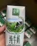 伊利【新鲜日期】金典纯牛奶整箱 200ml*24盒 3.6g乳蛋白 礼盒装 6月 实拍图