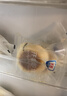 光明牛奶芝士乳酪包350g(8枚)面包夹心糕点心学生早餐零食下午茶 实拍图