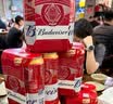 百威【哈宝同款】世界杯珍藏版啤酒【40周年限定】500ML*12礼盒装 实拍图