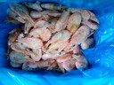 禧美海产头籽北极甜虾2斤/盒 120/150 头籽率参考50%  MSC认证 轻食 实拍图