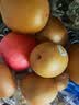 佳沛（zespri）新西兰阳光金奇异果10粒巨大果单果146-175g 猕猴桃水果礼盒 实拍图