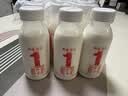 晨光供港鲜奶230ml*3瓶 巴氏杀菌低温鲜牛奶 家庭装 实拍图